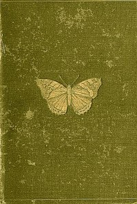 Butterflies and Moths (British)