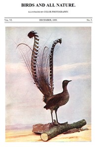 Birds and All Nature, Vol. 6, No. 5, December 1899