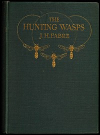 The Hunting Wasps