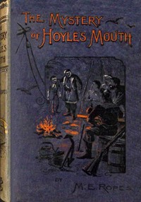 The mystery of Hoyle's Mouth : or The adventures of two runaway boys